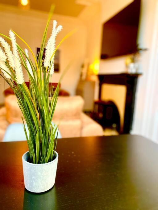 Anchored Homely Apartment In Historic Centre ペイズリー エクステリア 写真